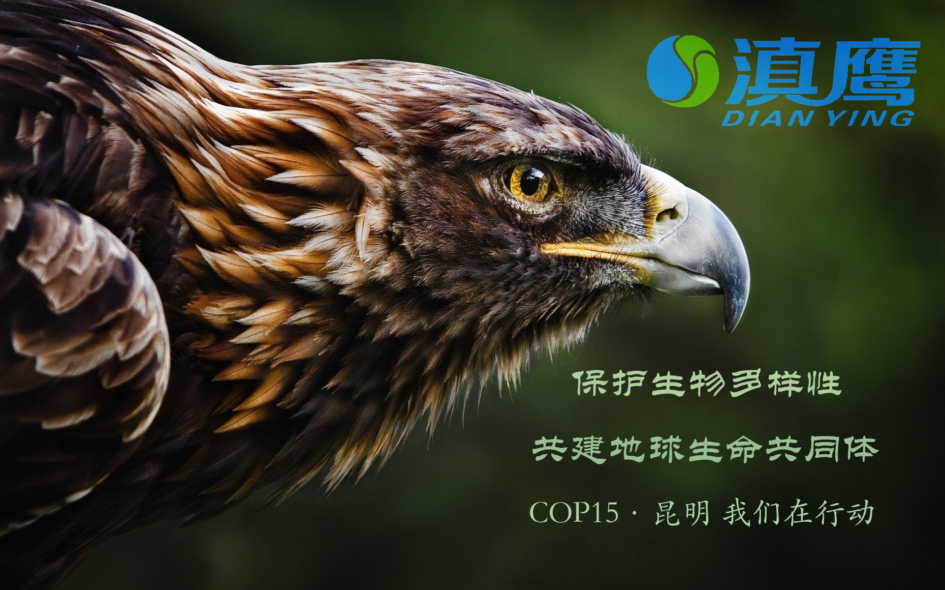 讓綠水青山永續(xù)，讓美麗持續(xù)綻放